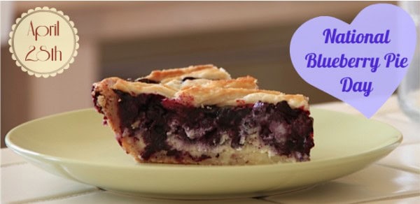 Blueberry Pie Slice2