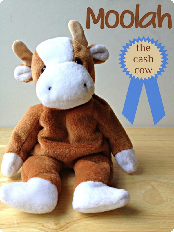 Ready for some “Moolah”?!
