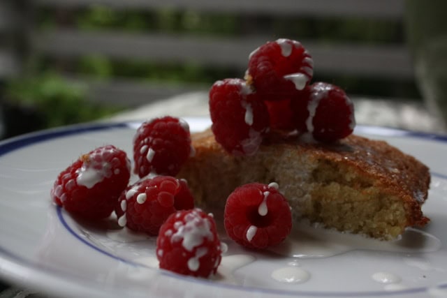 Gluten Free Almond Torte