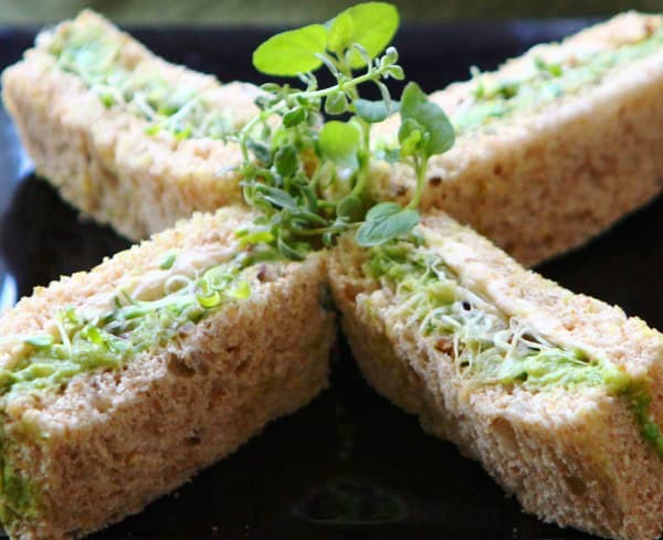 veggie sandwiches