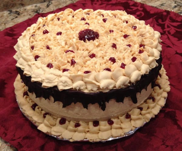 Chocolate PB and J Cake