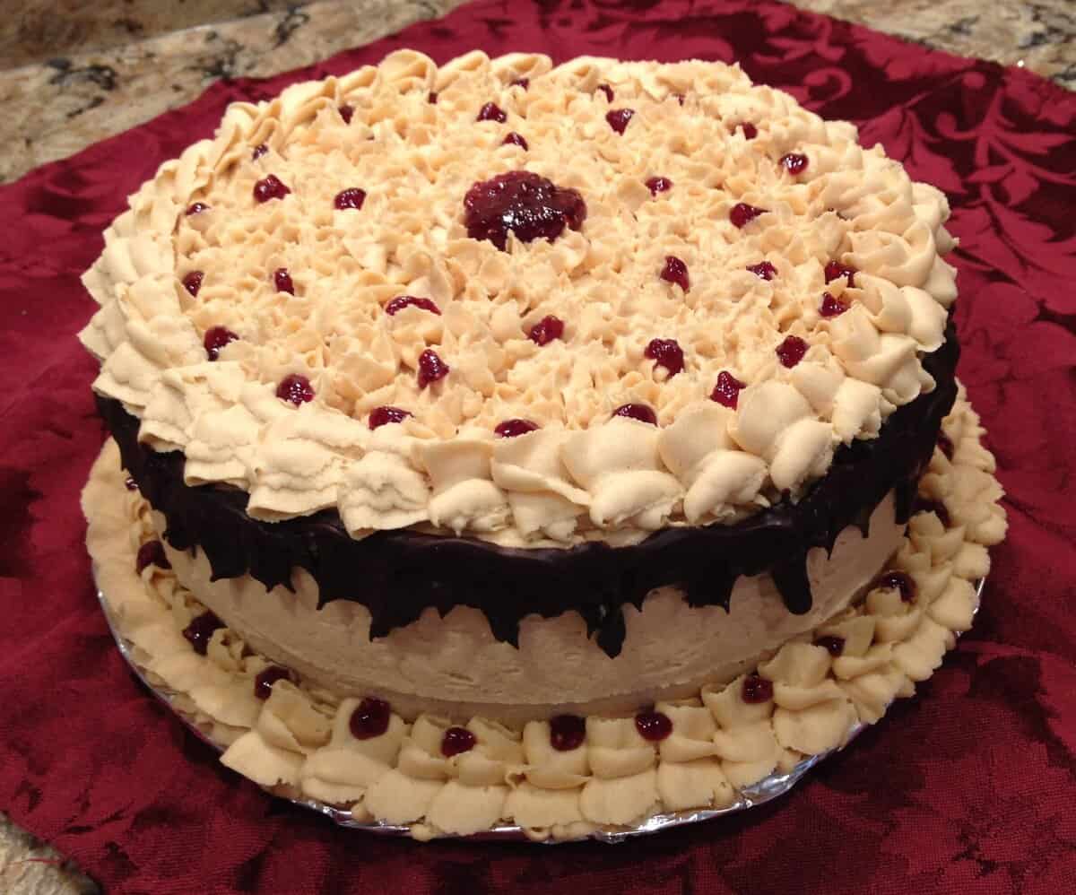 Chocolate PB and J Cake