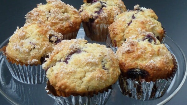wild blueberry muffins