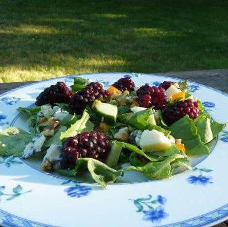 Marrionberry Salad